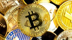 Perusahaan Hashim Djojohadikusumo Resmi Jadi Pemegang Saham COIN